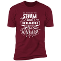 GO THROUGH THE STORM AND REACH THE SUNSHINE Premium Short Sleeve T-Shirt